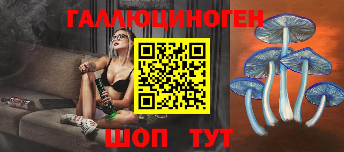Псилоцибиновые грибы Cubensis  Псилоцибиновые грибы прущие грибы  Вход с VPN  Южноуральск 